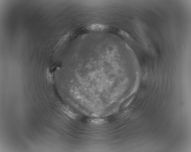 X0000051270669200507082244