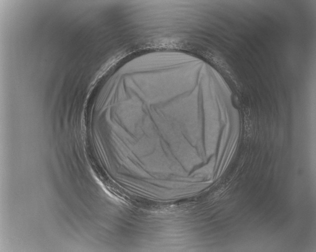 X0000051270674200507082244