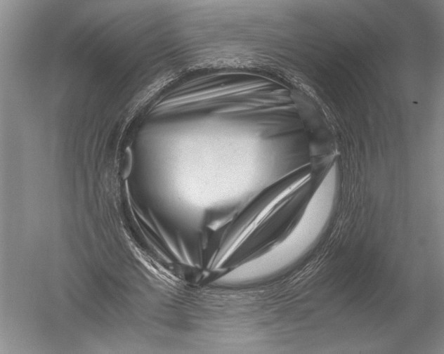 X0000051270677200507082244