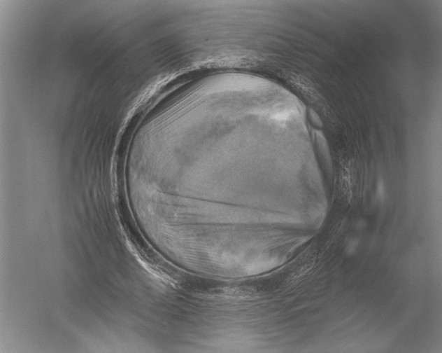 X0000051270678200507082244