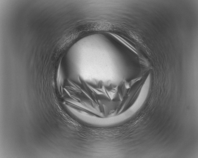 X0000051270681200507082244