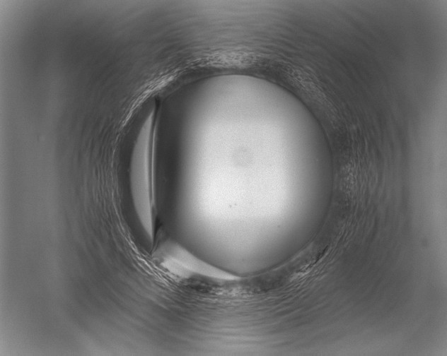 X0000051270688200507082243