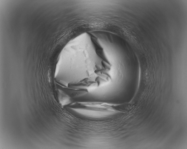 X0000051270689200507082243