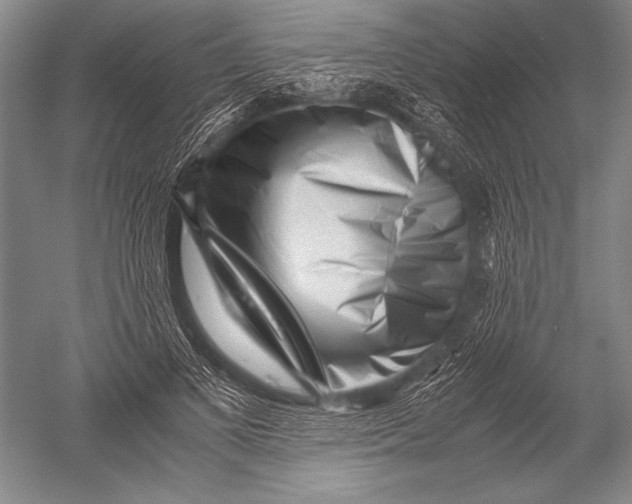 X0000051270693200507082243
