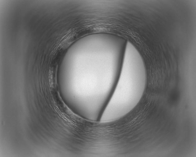 X0000051270696200507082243