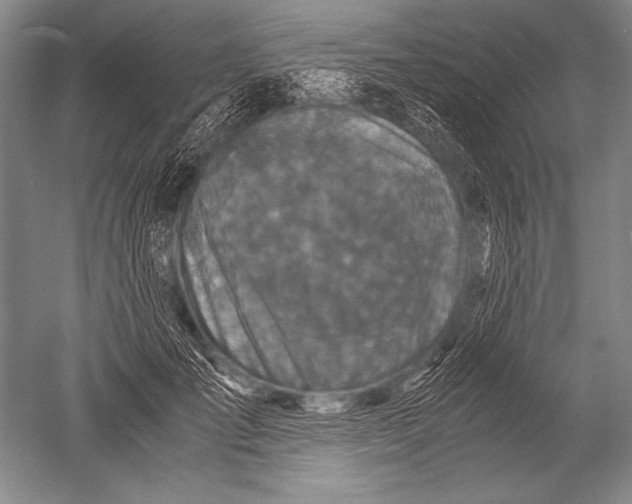 X0000051270701200507082243