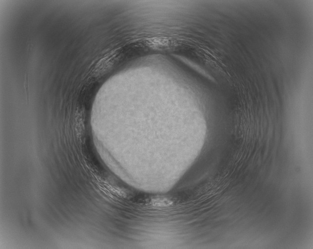 X0000051270702200507082243