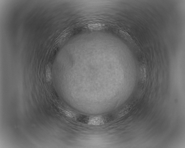 X0000051270705200507082243