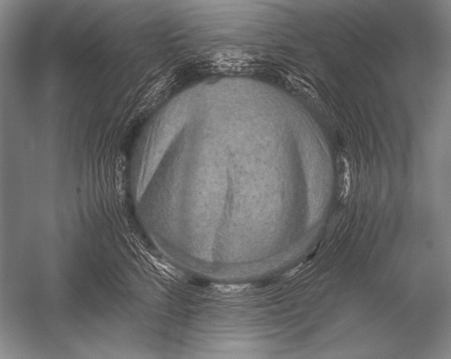 X0000051270712200507082243