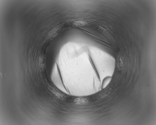 X0000051270714200507082243