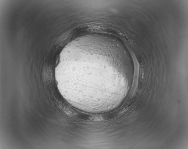 X0000051270715200507082243