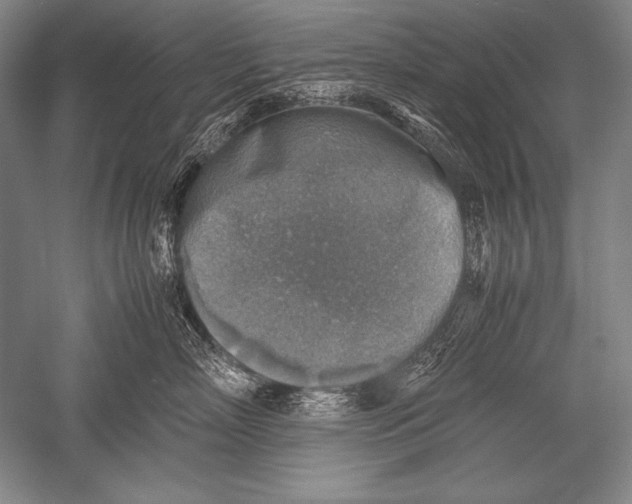 X0000051270718200507082243