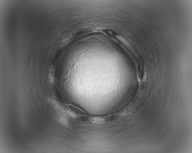 X0000051270719200507082243