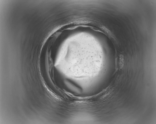 X0000051270726200507082242