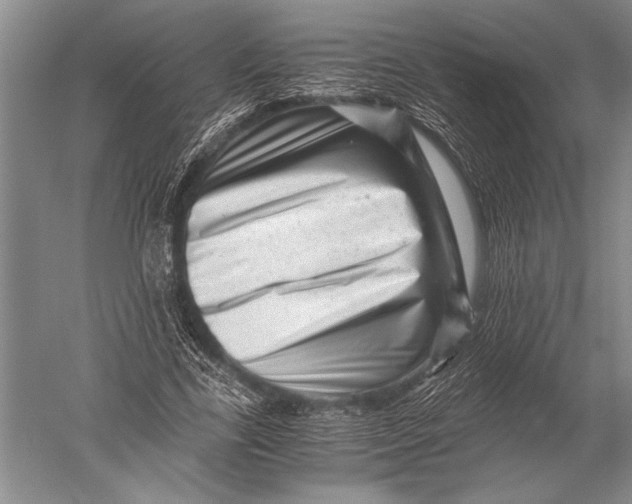 X0000051270731200507082242