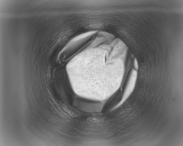 X0000051270739200507082242