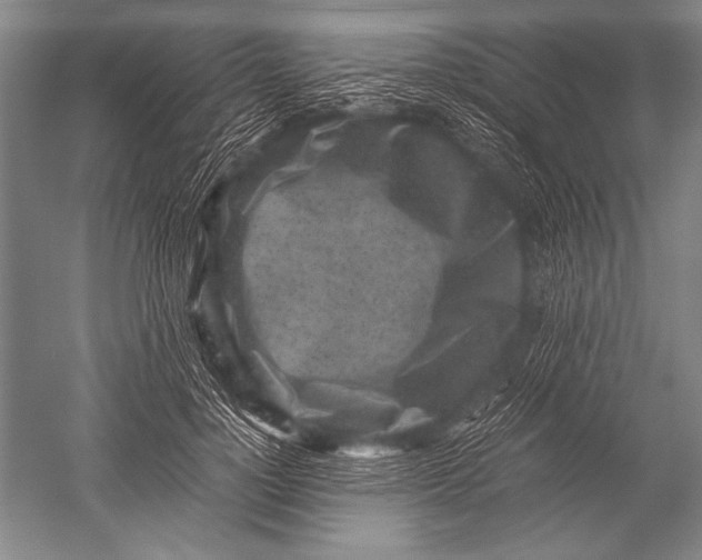 X0000051270748200507082242