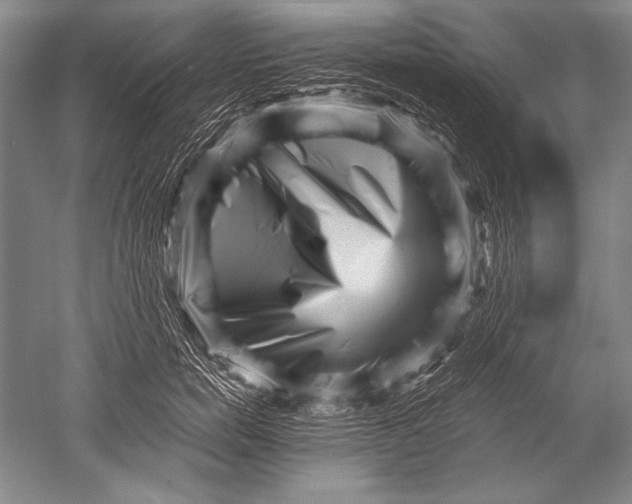 X0000051270750200507082243