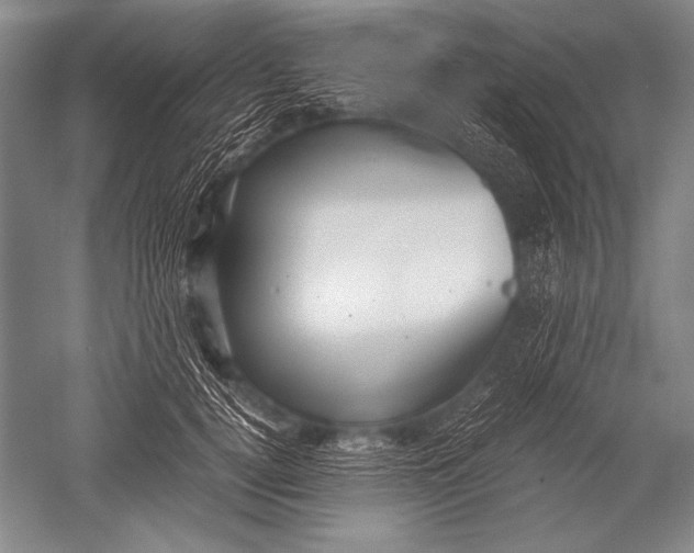 X0000051270752200507082243