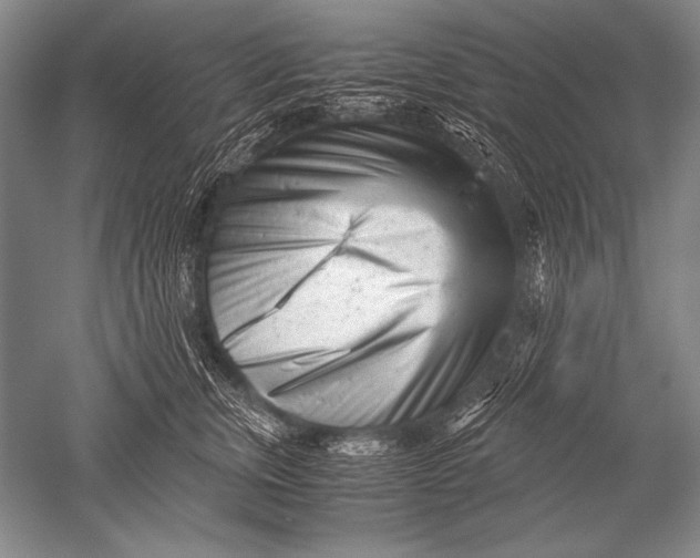 X0000051270759200507082243