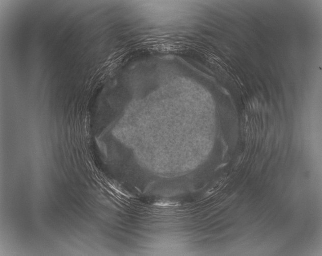 X0000051270760200507082243