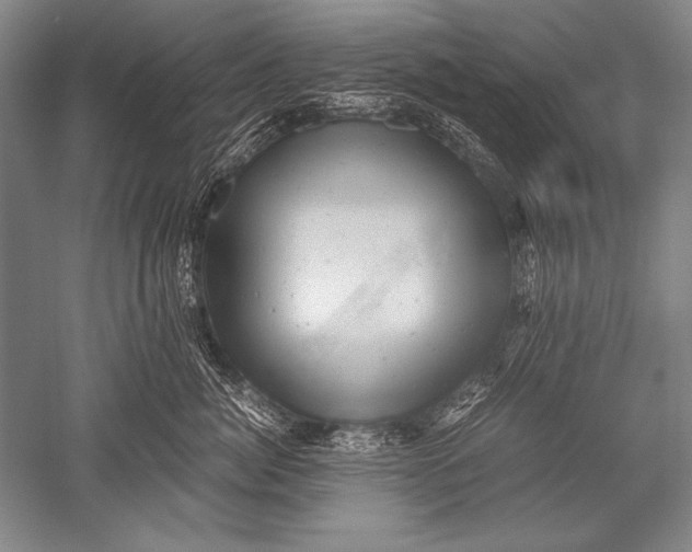 X0000051270764200507082243