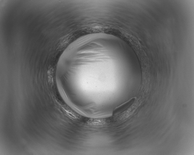 X0000051270768200507082243