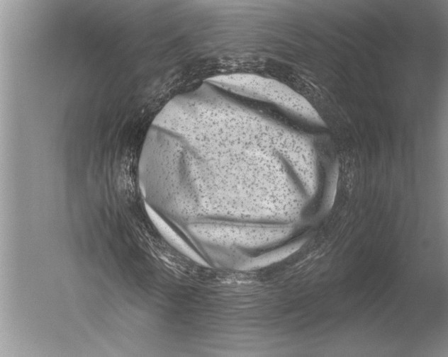 X0000051270770200507082242