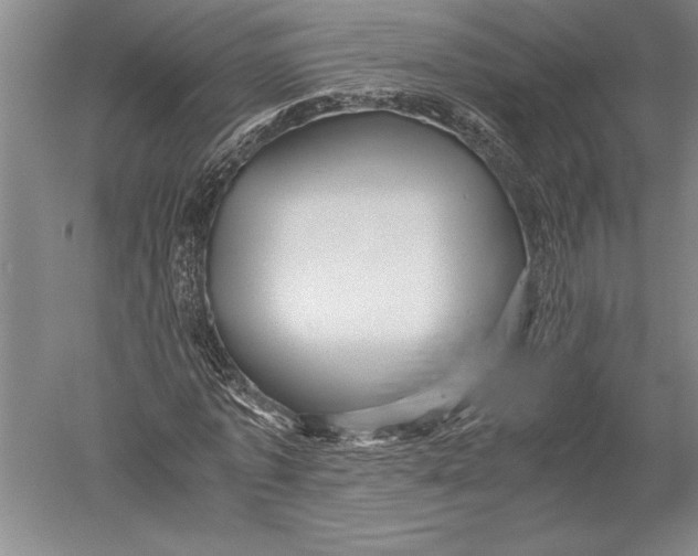 X0000051270773200507082242