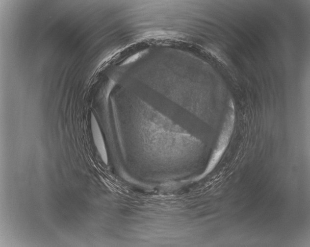 X0000051270775200507082242