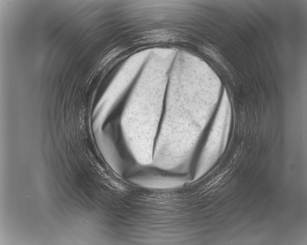 X0000051270778200507082242