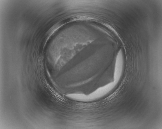 X0000051270783200507082242