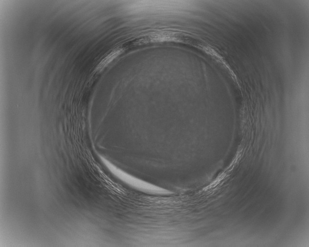X0000051270785200507082242