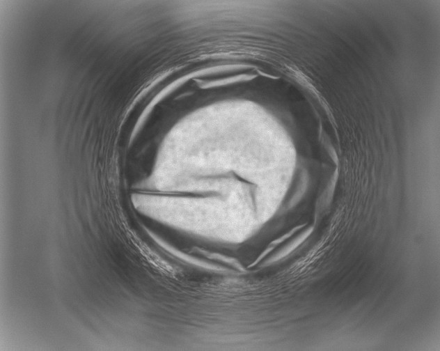 X0000051270787200507082242