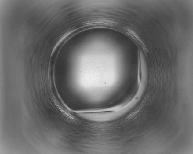 X0000051270788200507082242