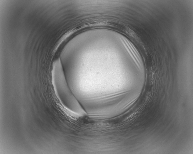 X0000051270789200507082242