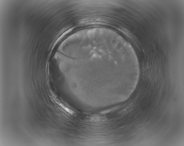 X0000051270790200507082242