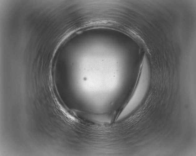 X0000051270792200507082242