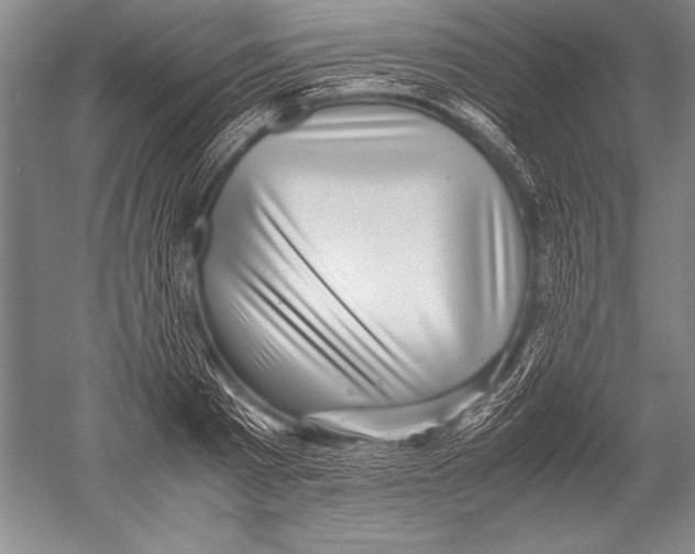 X0000051270793200507082242