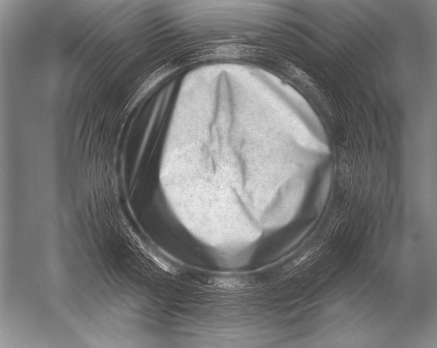 X0000051270794200507082242