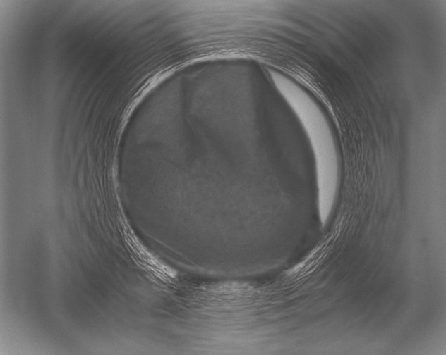 X0000051270797200507082242