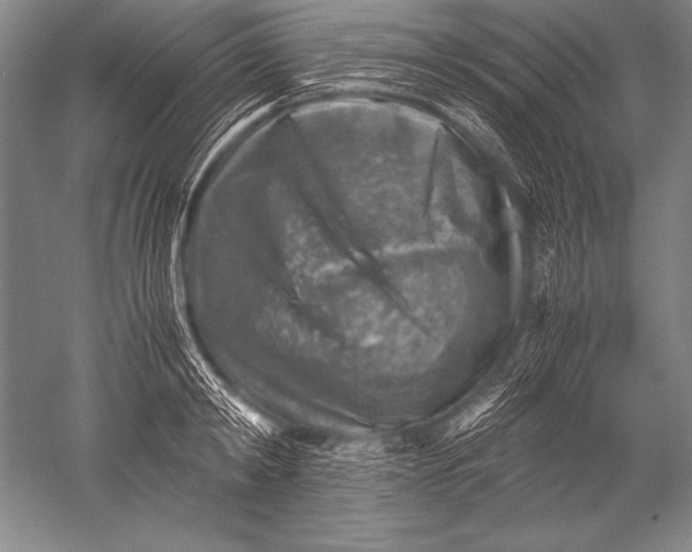 X0000051270798200507082242