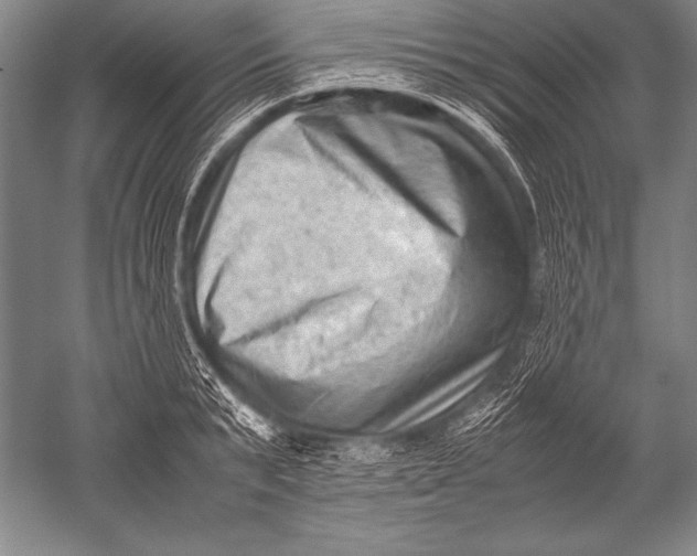 X0000051270799200507082242