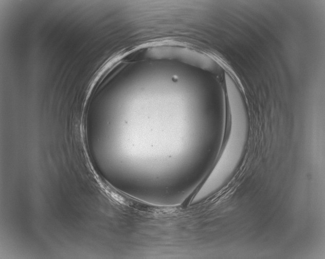 X0000051270813200507082241