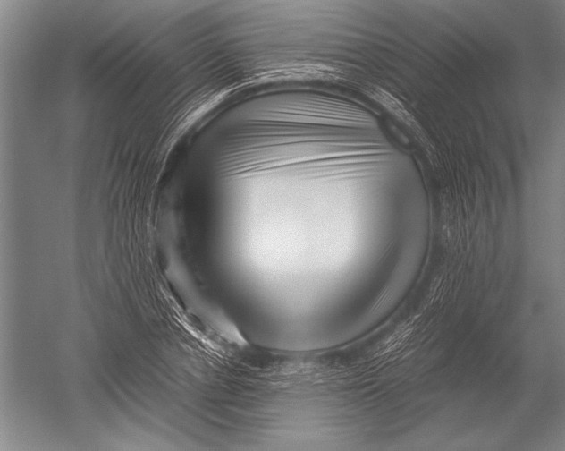 X0000051270834200507082241