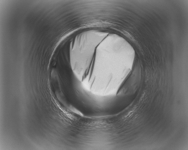 X0000051270838200507082241