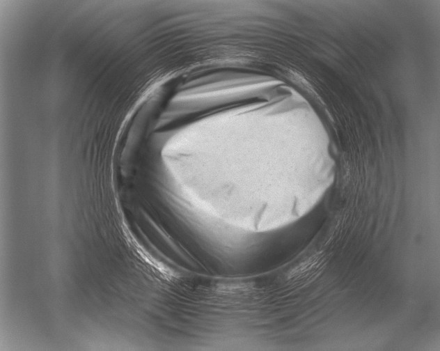 X0000051270843200507082241