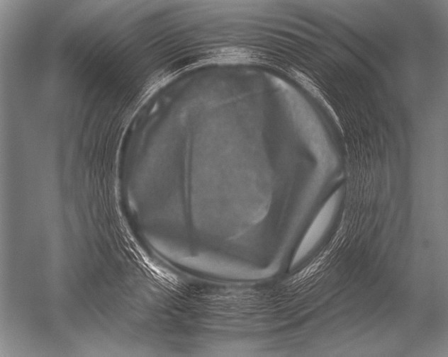X0000051270845200507082241