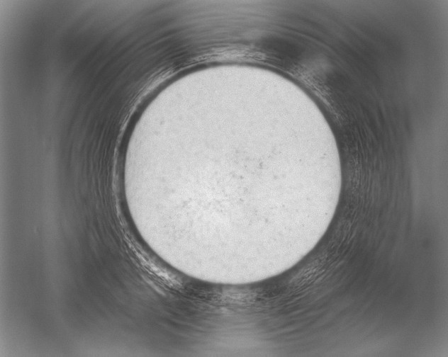 X0000051270848200507082241