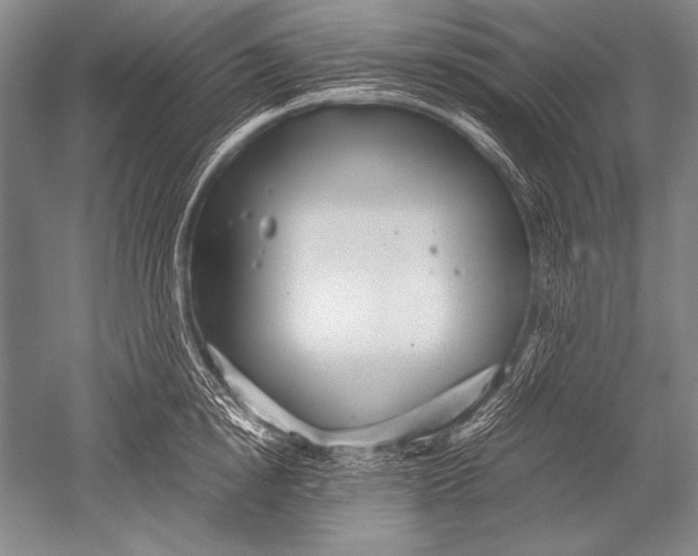 X0000051270854200507082241